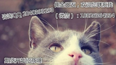 从打工牛马到AI“包工头”：我考察厉害猫AI怎么加盟代理的真实经历